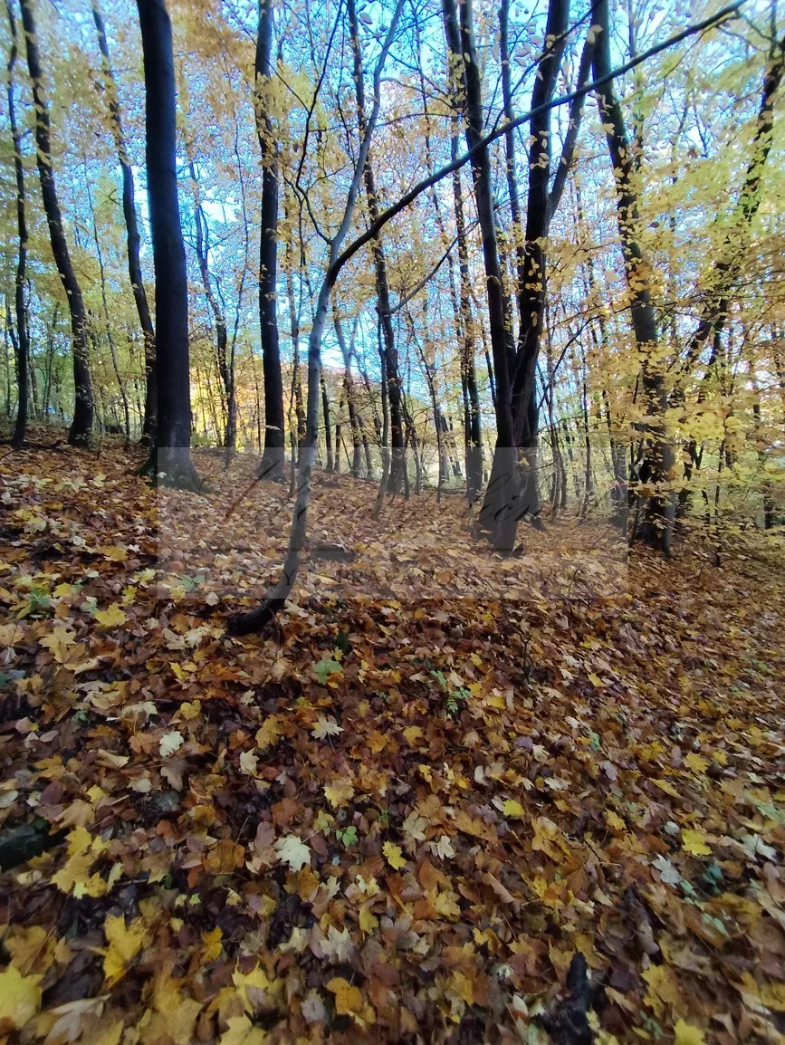 Dobrovoľná dražba: Pozemok (zastavaná plocha a nádvorie) — fotografia 14