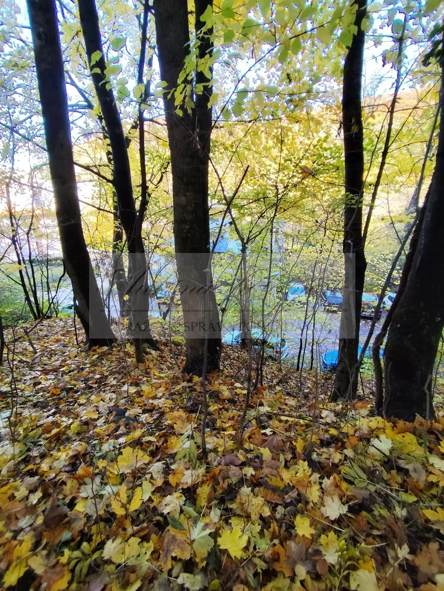 Dobrovoľná dražba: Pozemok (zastavaná plocha a nádvorie) — fotografia 15