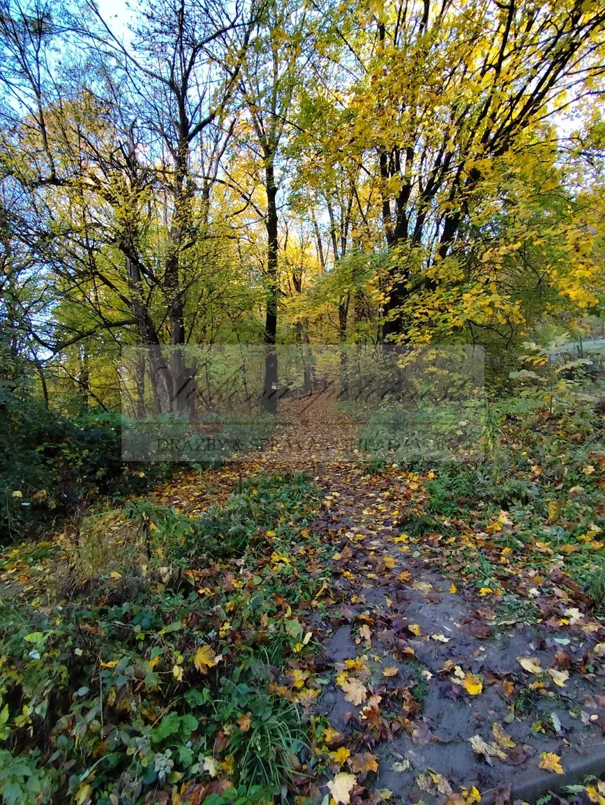 Dobrovoľná dražba: Pozemok (zastavaná plocha a nádvorie) — fotografia 17
