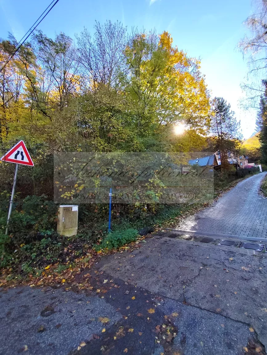 Dobrovoľná dražba: Pozemok (zastavaná plocha a nádvorie) — fotografia 18
