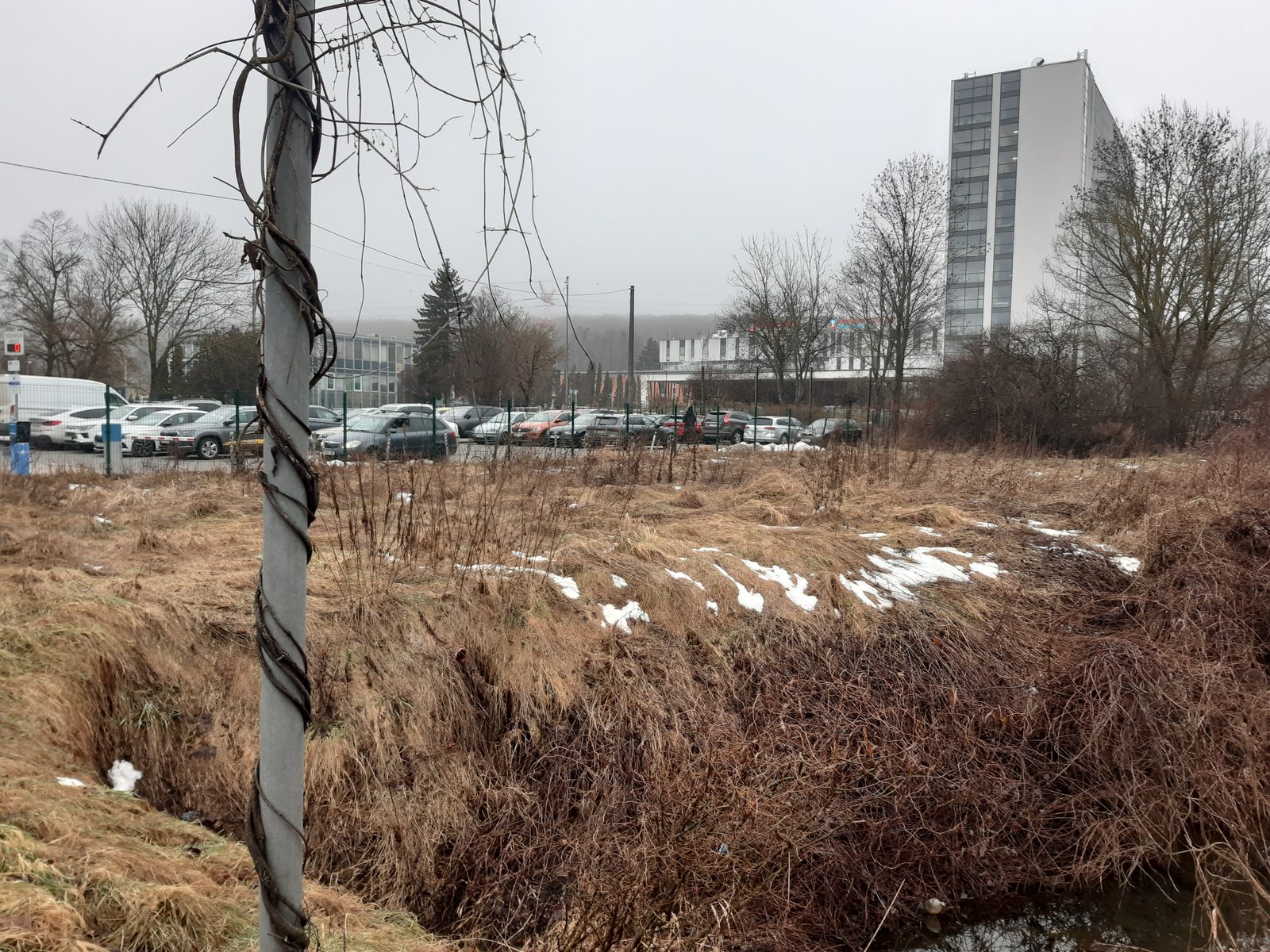 Dobrovoľná dražba: Pozemok (ostatná plocha) — fotografia 4
