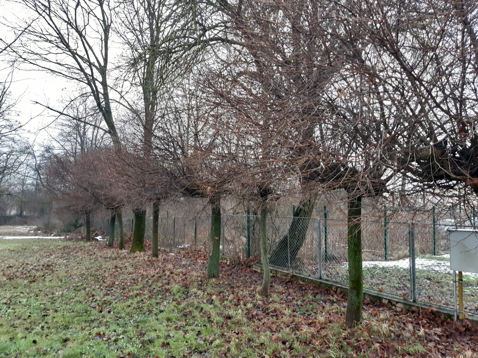 Dobrovoľná dražba: Pozemok (ostatná plocha) — fotografia 8