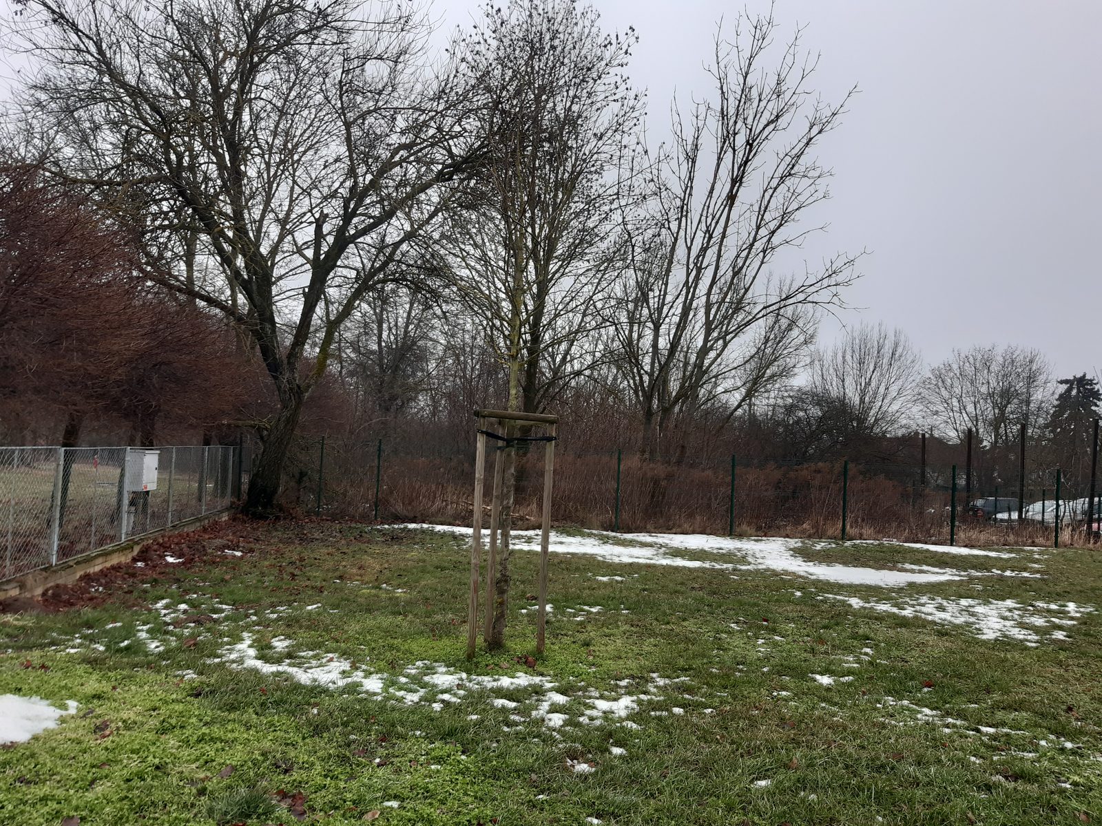 Dobrovoľná dražba: Pozemok (ostatná plocha) — fotografia 9