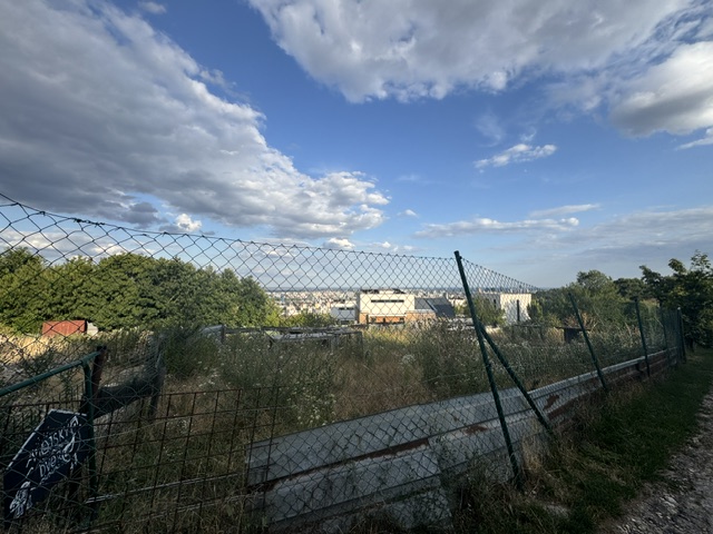 Dobrovoľná dražba: Pozemok (vinica) — fotografia 15