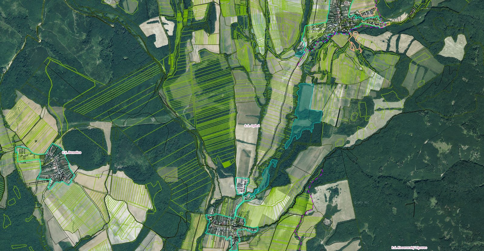 Exekučná dražba: Pozemok (trvalý trávny porast)
