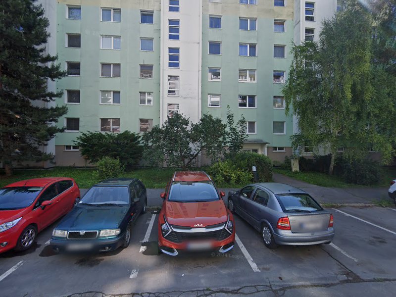 Exekučná dražba: Pozemok (trvalý trávny porast)