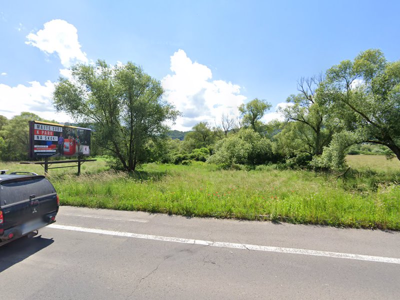Exekučná dražba: Pozemok (trvalý trávny porast)