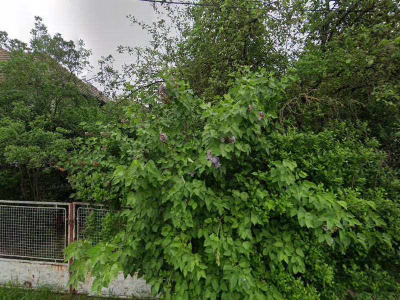 Exekučná dražba: Rodinný dom